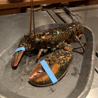 京風鉄板 はせ川 - 