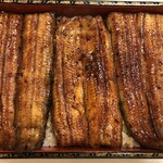鰻はし本 - うな重「は」