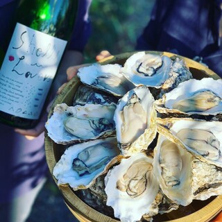 居酒屋ダイニング サクラマチ_1