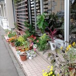 カフェ・アカリ - 