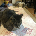 スサンタ･キッチン - 