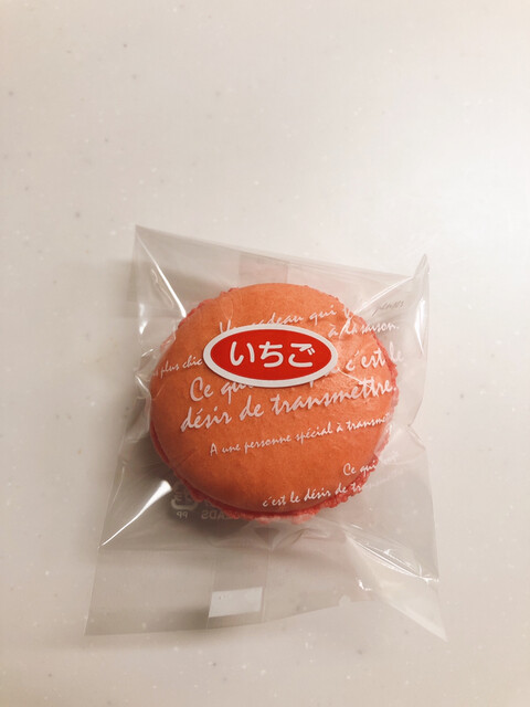 Sweets Garden Celeste Sho photo 5