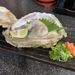 Ikuyoshi - 岩牡蠣^ ^