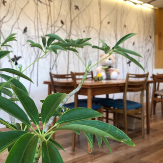 ハナ ムスビ チャープ カフェ_2