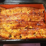 Unagi Musashino - 