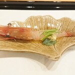 馬車道 大かわ - ボタン海老