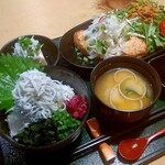 鎌倉 六弥太 - 鎌倉バーグ御膳　たっぷり香味野菜+釜揚げしらす丼