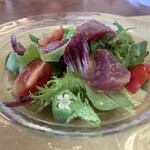 トラットリア カヴァタッピ - 