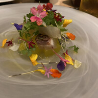 ARMONICO -  ARMONICO -