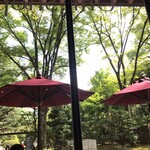 自家製中華そば としおか - 