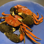 プレゼンテ スギ - 