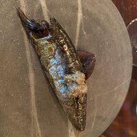 あそび割烹 さん葉か - 