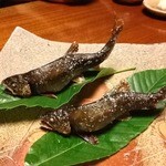 炭火割烹 いふき - 