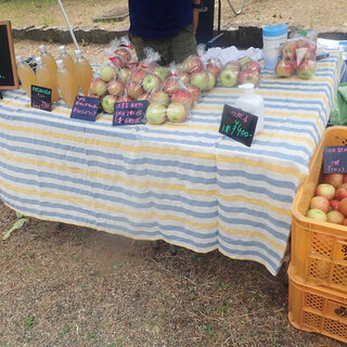 まるつね果樹園_1