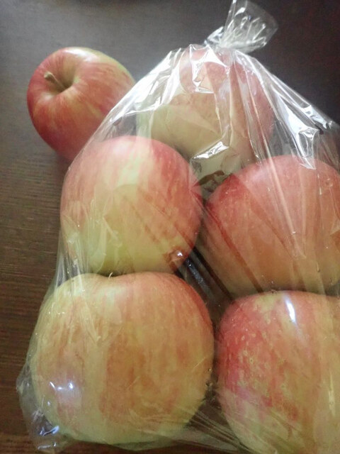 まるつね果樹園 - 天童南（その他）の写真