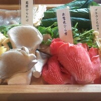 シャングリラズシークレット 銀座店 - 