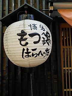 Hakata Motsunabe Hara Hetta - 提灯