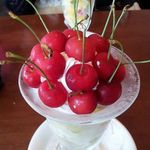 フルーツガーデン シン・サン - 