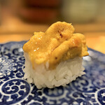 鮨処 多田 - 握り ウニ