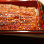 Unagi Tokitou - 鰻重