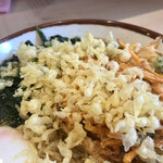 そばの神田 東一屋 - 揚げ玉ブチまけろ！  #BCMKR!