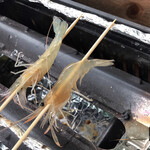 おららのコミセ - 