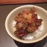 Tempura Minamo - 