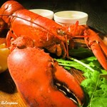 ガストロ スケゴロウ - Homard