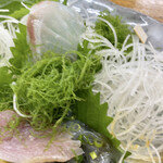 Osakana Tengoku Kaisen Syokujidokoro - 大洗産 地魚5点盛定食