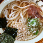 山崎製麺 - 旦那さんのかけうどん大。だし汁美味いわ〜と辛口評価の旦那さんも絶賛。