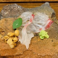 カミノザ - 