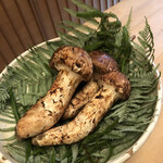 緒方 - 和歌山産  大松茸