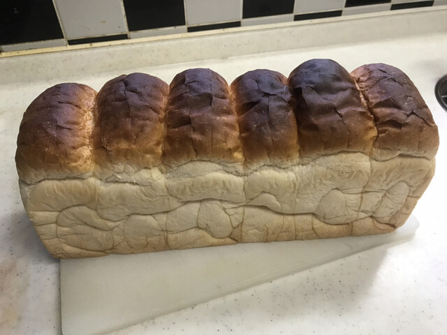 手まめ館 - 磐城塙（レストラン）の写真