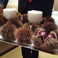 ロオジエ - アミューズのプレゼン