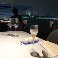 International cuisine subzero - 