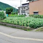 桟歩道 - お店様の玄関前の風景です①