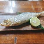 いこい食堂 一行三昧 - イワシ