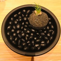 マンサルヴァ - 