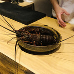 温石 - 車海老です。ぎゅーぎゅーと威嚇しています