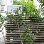 手打ち蕎麦 こはし - 看板(2020年10月)