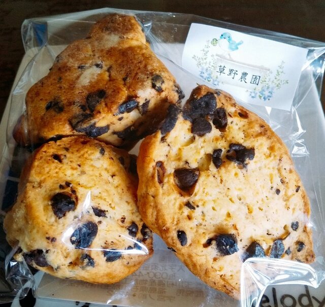 草野農園 - 泉郷（その他）の写真