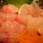 菜根譚 北海道中華 - 