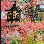 比良山荘 - 『比良山荘』の中庭の赤く色づいた紅葉。
