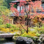 比良山荘 - 部屋から見える中庭の紅葉。