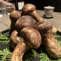 USHIGORO S. NISHIAZABU - 