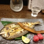 設楽 - 2008鮎一夜干し