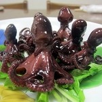 季節料理 藤原 - タコの炊いたもの