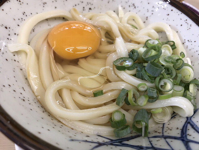 こんぴらうどん 本社工場併設店 琴電琴平 うどん 食べログ