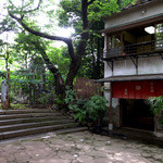 菜根 - 愛宕神社の端にあるお店