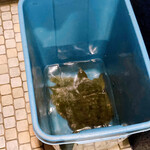 なんやかん屋 - 